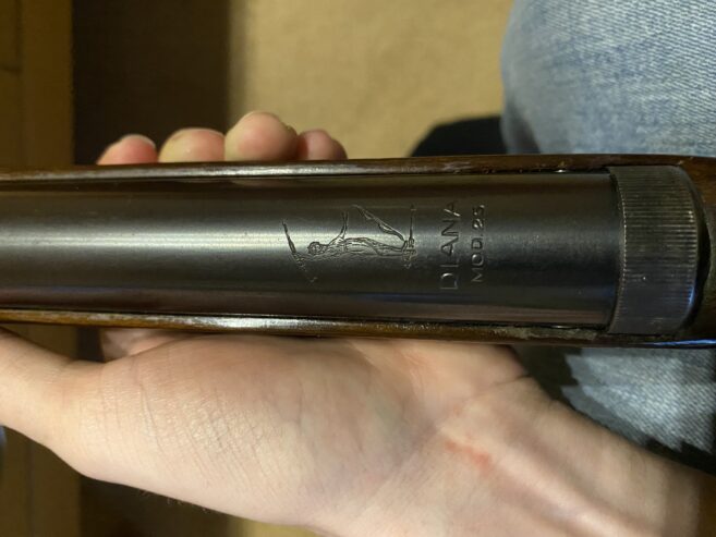 Diana model 25