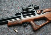 Gamo Furia .22