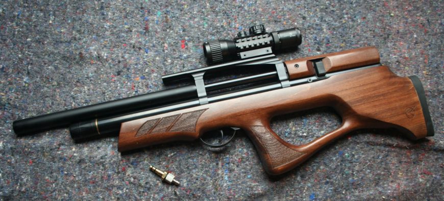 Gamo Furia .22