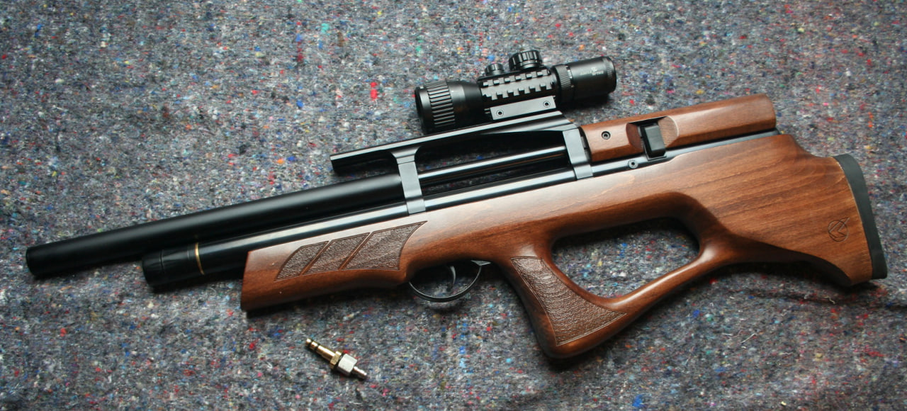 Gamo Furia .22