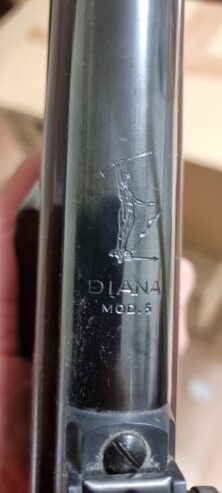 Diana model 5 Vintage