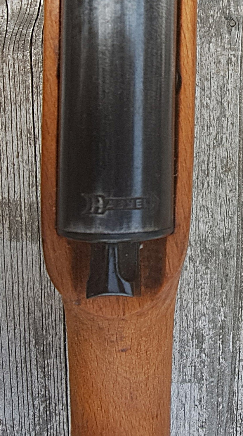 Haenel 310 kermisbuks 4.5