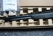 Umarex Iconix .22 PCP
