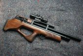 Gamo Furia .22