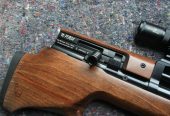 Gamo Furia .22