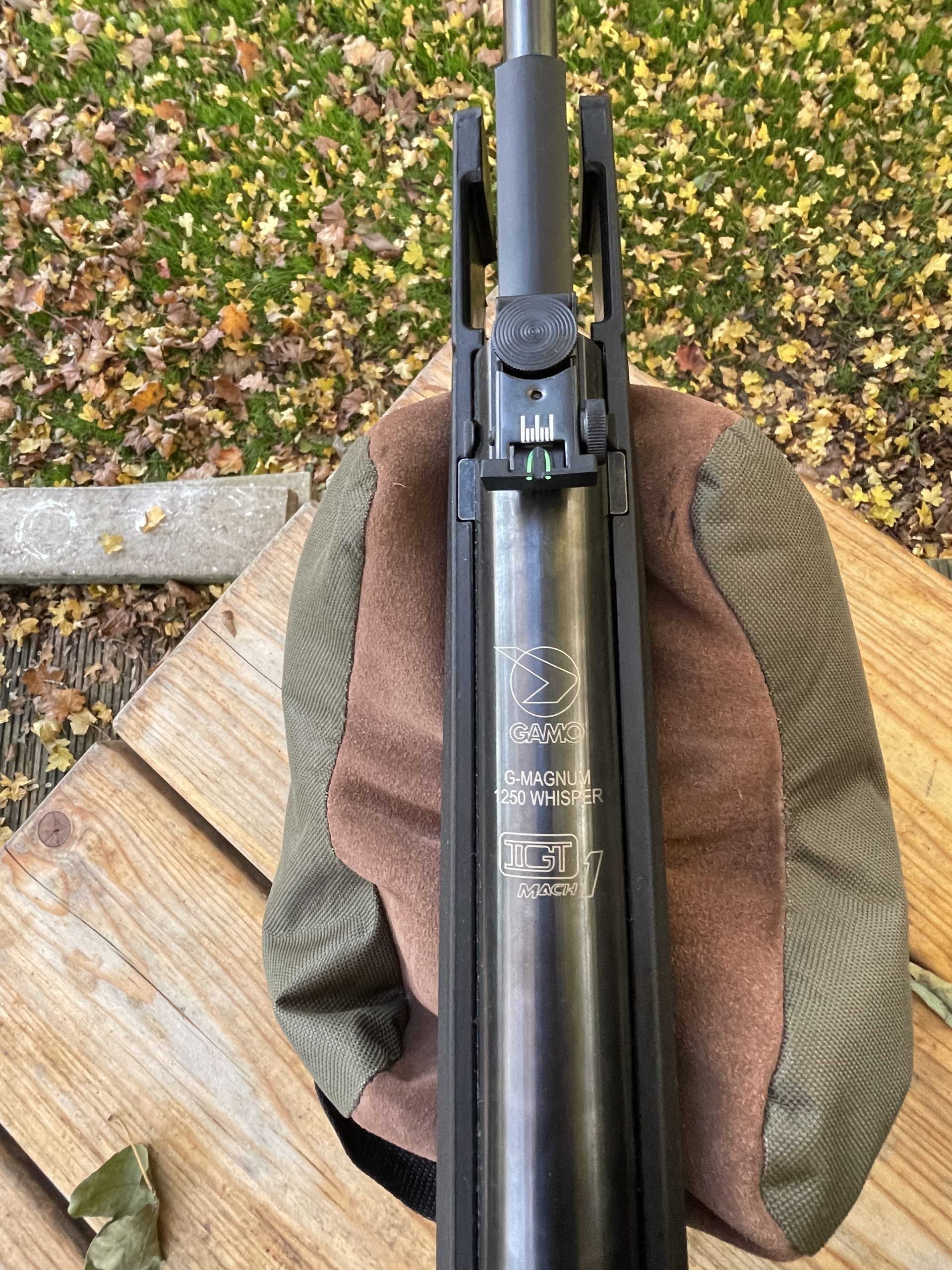 G-Magnum 1250 Whisper IGT Mach1 5.5 GAMO